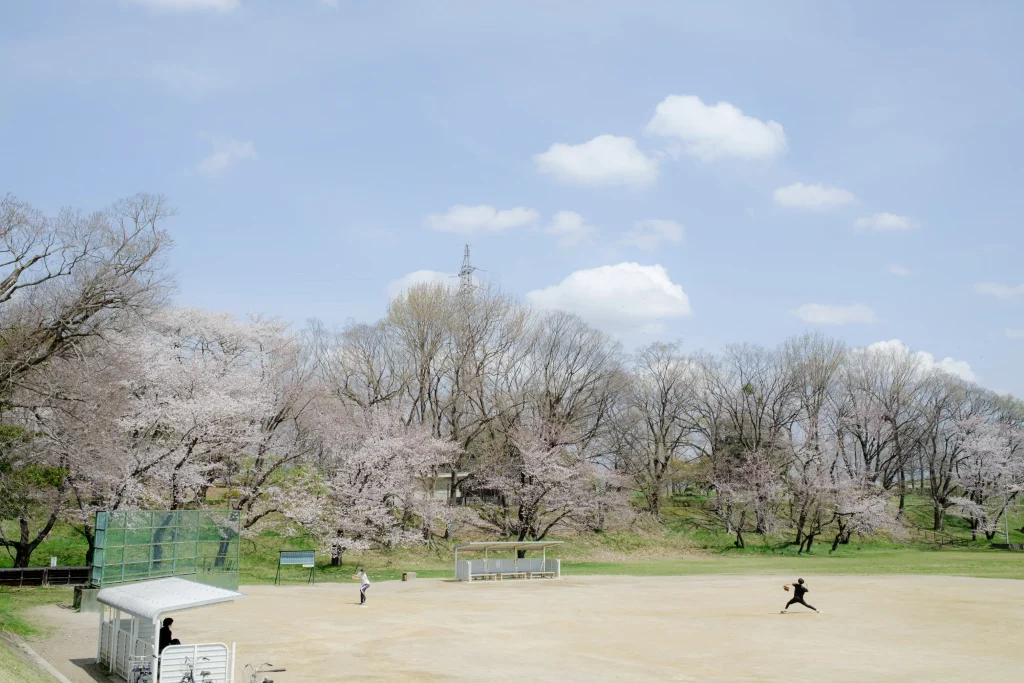 桜の咲く野球場でキャッチボールをする少年たち