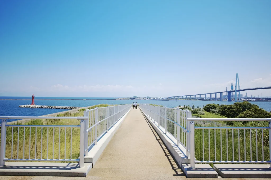 海王丸パークの展望台からの景色